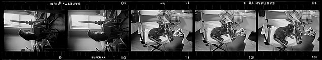 [2 Portraits of Jane Smith Evans Painting and 16 Portraits of a Cat, Possibly "The Boss"], Walker Evans (American, St. Louis, Missouri 1903–1975 New Haven, Connecticut), Film negative