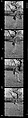 [34 Portraits of Clark Voorhees, John McDonald, and Others], Walker Evans (American, St. Louis, Missouri 1903–1975 New Haven, Connecticut), Film negative