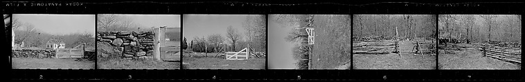 [64 Portraits of Anthony West and Lily Emmet West on Lawn and Views of House, Possibly Stonington, Connecticut], Walker Evans  American, Film negative