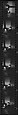 [34 Portraits of Mary Frank, New York City], Walker Evans (American, St. Louis, Missouri 1903–1975 New Haven, Connecticut), Film negative