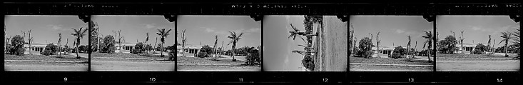 [171 Portraits of Penelope Andrews, Portraits of Walker Evans, Landscapes, and Architectural Views in Florida], Walker Evans (American, St. Louis, Missouri 1903–1975 New Haven, Connecticut), Film negative