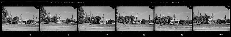 [171 Portraits of Penelope Andrews, Portraits of Walker Evans, Landscapes, and Architectural Views in Florida], Walker Evans (American, St. Louis, Missouri 1903–1975 New Haven, Connecticut), Film negative