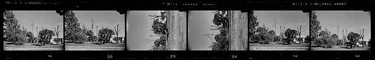 [171 Portraits of Penelope Andrews, Portraits of Walker Evans, Landscapes, and Architectural Views in Florida], Walker Evans (American, St. Louis, Missouri 1903–1975 New Haven, Connecticut), Film negative