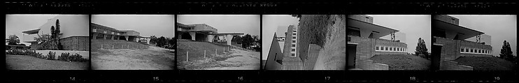 [171 Portraits of Penelope Andrews, Portraits of Walker Evans, Landscapes, and Architectural Views in Florida], Walker Evans (American, St. Louis, Missouri 1903–1975 New Haven, Connecticut), Film negative