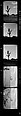 [171 Portraits of Penelope Andrews, Portraits of Walker Evans, Landscapes, and Architectural Views in Florida], Walker Evans (American, St. Louis, Missouri 1903–1975 New Haven, Connecticut), Film negative
