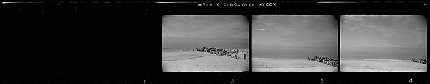 [171 Portraits of Penelope Andrews, Portraits of Walker Evans, Landscapes, and Architectural Views in Florida], Walker Evans (American, St. Louis, Missouri 1903–1975 New Haven, Connecticut), Film negative