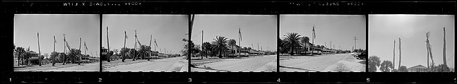 [171 Portraits of Penelope Andrews, Portraits of Walker Evans, Landscapes, and Architectural Views in Florida], Walker Evans (American, St. Louis, Missouri 1903–1975 New Haven, Connecticut), Film negative