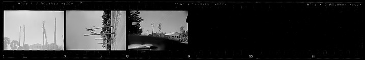 [171 Portraits of Penelope Andrews, Portraits of Walker Evans, Landscapes, and Architectural Views in Florida], Walker Evans (American, St. Louis, Missouri 1903–1975 New Haven, Connecticut), Film negative