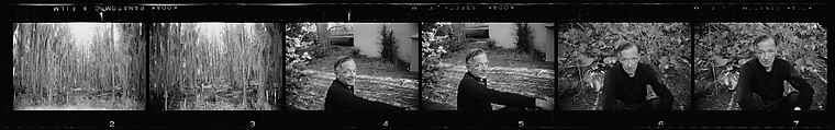 [171 Portraits of Penelope Andrews, Portraits of Walker Evans, Landscapes, and Architectural Views in Florida], Walker Evans (American, St. Louis, Missouri 1903–1975 New Haven, Connecticut), Film negative