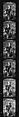 [171 Portraits of Penelope Andrews, Portraits of Walker Evans, Landscapes, and Architectural Views in Florida], Walker Evans (American, St. Louis, Missouri 1903–1975 New Haven, Connecticut), Film negative