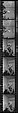 [36 Portraits of Unidentified Woman before Picasso Plates], Walker Evans (American, St. Louis, Missouri 1903–1975 New Haven, Connecticut), Film negative