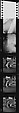 [35 Portraits of Isabelle Evans, Boston, Massachussets], Walker Evans (American, St. Louis, Missouri 1903–1975 New Haven, Connecticut), Film negative