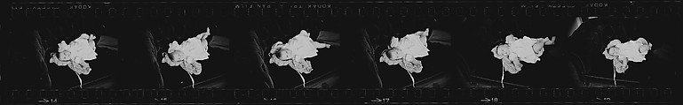 [72 Portraits of Caroline Blackwood and Baby], Walker Evans (American, St. Louis, Missouri 1903–1975 New Haven, Connecticut), Film negative