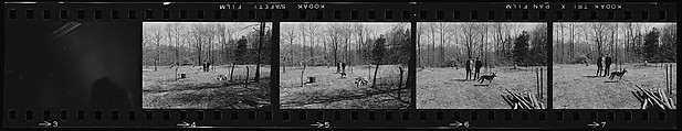 [22 Portraits of Isabelle Evans, Walker Evans, Lee Friedlander, and Others], Walker Evans (American, St. Louis, Missouri 1903–1975 New Haven, Connecticut), Film negative