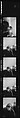 [106 Portraits of Caroline Blackwood], Walker Evans (American, St. Louis, Missouri 1903–1975 New Haven, Connecticut), Film negative