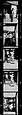 [67 Portraits of Henry Moore and Views of Sculptures], Walker Evans (American, St. Louis, Missouri 1903–1975 New Haven, Connecticut), Film negative