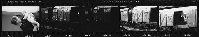 [154 Portraits of the Family of Isabelle Boeschenstein Evans and Architectural Views, Berne, Switzerland--NEGATIVES .103-.118 ARE DAMAGED], Walker Evans (American, St. Louis, Missouri 1903–1975 New Haven, Connecticut), Film negative