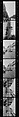 [706 Views of London and Environs, Including Street Scenes and Architectural Views and Details], Walker Evans (American, St. Louis, Missouri 1903–1975 New Haven, Connecticut), Film negative