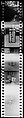 [72 Views of Signs and Shopwindows, with Studies of Men's Dress Possibly for Unpublished Fortune Portfolio "The Clothes," Vicinity Cortlandt Street, New York City], Walker Evans (American, St. Louis, Missouri 1903–1975 New Haven, Connecticut), Film negative