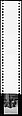 [72 Views of Signs and Shopwindows, with Studies of Men's Dress Possibly for Unpublished Fortune Portfolio "The Clothes," Vicinity Cortlandt Street, New York City], Walker Evans (American, St. Louis, Missouri 1903–1975 New Haven, Connecticut), Film negative