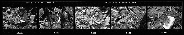 [70 Views of Street Debris, New York City], Walker Evans (American, St. Louis, Missouri 1903–1975 New Haven, Connecticut), Film negative