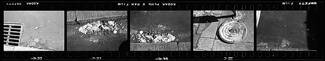 [70 Views of Street Debris, New York City], Walker Evans (American, St. Louis, Missouri 1903–1975 New Haven, Connecticut), Film negative
