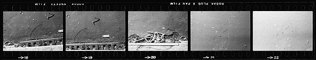 [70 Views of Street Debris, New York City], Walker Evans (American, St. Louis, Missouri 1903–1975 New Haven, Connecticut), Film negative