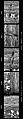 [70 Views of Street Debris, New York City], Walker Evans (American, St. Louis, Missouri 1903–1975 New Haven, Connecticut), Film negative