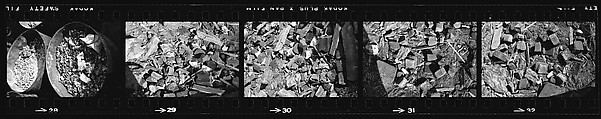 [70 Views of Street Debris, New York City], Walker Evans (American, St. Louis, Missouri 1903–1975 New Haven, Connecticut), Film negative