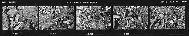 [70 Views of Street Debris, New York City], Walker Evans (American, St. Louis, Missouri 1903–1975 New Haven, Connecticut), Film negative