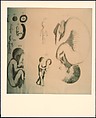 [48 Portraits of Walker Evans and Interior Views and Studies of His House, Old Lyme, Connecticut], Bobbi Carrey (American, born 1946), Chromogenic print