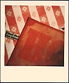 [48 Portraits of Walker Evans and Interior Views and Studies of His House, Old Lyme, Connecticut], Bobbi Carrey (American, born 1946), Chromogenic print