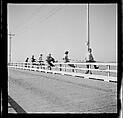 [125 Views of West Coast of Florida, Including: Women on Benches in Sarasota, Mangroves, Pelicans, Shuffleboard Players, Men on Street in Tampa, Sponge Diving Wharves at Tarpon Springs, Coastal Residences, Fishermen, and Miscellaneous Street Scenes], Walker Evans (American, St. Louis, Missouri 1903–1975 New Haven, Connecticut), Film negative