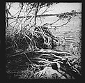 [125 Views of West Coast of Florida, Including: Women on Benches in Sarasota, Mangroves, Pelicans, Shuffleboard Players, Men on Street in Tampa, Sponge Diving Wharves at Tarpon Springs, Coastal Residences, Fishermen, and Miscellaneous Street Scenes], Walker Evans (American, St. Louis, Missouri 1903–1975 New Haven, Connecticut), Film negative