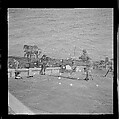 [125 Views of West Coast of Florida, Including: Women on Benches in Sarasota, Mangroves, Pelicans, Shuffleboard Players, Men on Street in Tampa, Sponge Diving Wharves at Tarpon Springs, Coastal Residences, Fishermen, and Miscellaneous Street Scenes], Walker Evans (American, St. Louis, Missouri 1903–1975 New Haven, Connecticut), Film negative