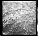 [125 Views of West Coast of Florida, Including: Women on Benches in Sarasota, Mangroves, Pelicans, Shuffleboard Players, Men on Street in Tampa, Sponge Diving Wharves at Tarpon Springs, Coastal Residences, Fishermen, and Miscellaneous Street Scenes], Walker Evans (American, St. Louis, Missouri 1903–1975 New Haven, Connecticut), Film negative