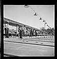 [125 Views of West Coast of Florida, Including: Women on Benches in Sarasota, Mangroves, Pelicans, Shuffleboard Players, Men on Street in Tampa, Sponge Diving Wharves at Tarpon Springs, Coastal Residences, Fishermen, and Miscellaneous Street Scenes], Walker Evans (American, St. Louis, Missouri 1903–1975 New Haven, Connecticut), Film negative