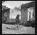 [125 Views of West Coast of Florida, Including: Women on Benches in Sarasota, Mangroves, Pelicans, Shuffleboard Players, Men on Street in Tampa, Sponge Diving Wharves at Tarpon Springs, Coastal Residences, Fishermen, and Miscellaneous Street Scenes], Walker Evans (American, St. Louis, Missouri 1903–1975 New Haven, Connecticut), Film negative