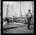 [125 Views of West Coast of Florida, Including: Women on Benches in Sarasota, Mangroves, Pelicans, Shuffleboard Players, Men on Street in Tampa, Sponge Diving Wharves at Tarpon Springs, Coastal Residences, Fishermen, and Miscellaneous Street Scenes], Walker Evans (American, St. Louis, Missouri 1903–1975 New Haven, Connecticut), Film negative