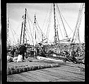 [125 Views of West Coast of Florida, Including: Women on Benches in Sarasota, Mangroves, Pelicans, Shuffleboard Players, Men on Street in Tampa, Sponge Diving Wharves at Tarpon Springs, Coastal Residences, Fishermen, and Miscellaneous Street Scenes], Walker Evans (American, St. Louis, Missouri 1903–1975 New Haven, Connecticut), Film negative