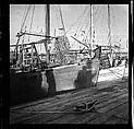 [125 Views of West Coast of Florida, Including: Women on Benches in Sarasota, Mangroves, Pelicans, Shuffleboard Players, Men on Street in Tampa, Sponge Diving Wharves at Tarpon Springs, Coastal Residences, Fishermen, and Miscellaneous Street Scenes], Walker Evans (American, St. Louis, Missouri 1903–1975 New Haven, Connecticut), Film negative