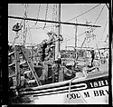 [125 Views of West Coast of Florida, Including: Women on Benches in Sarasota, Mangroves, Pelicans, Shuffleboard Players, Men on Street in Tampa, Sponge Diving Wharves at Tarpon Springs, Coastal Residences, Fishermen, and Miscellaneous Street Scenes], Walker Evans (American, St. Louis, Missouri 1903–1975 New Haven, Connecticut), Film negative