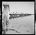 [125 Views of West Coast of Florida, Including: Women on Benches in Sarasota, Mangroves, Pelicans, Shuffleboard Players, Men on Street in Tampa, Sponge Diving Wharves at Tarpon Springs, Coastal Residences, Fishermen, and Miscellaneous Street Scenes], Walker Evans (American, St. Louis, Missouri 1903–1975 New Haven, Connecticut), Film negative