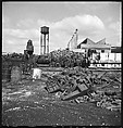 [194 Views of Ford River Rouge Automobile Plant, Dearborn, Michigan, Including: Industrial Architecture, Factory Workers, Plant Interiors,, Walker Evans (American, St. Louis, Missouri 1903–1975 New Haven, Connecticut), Film negative