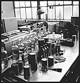 [194 Views of Ford River Rouge Automobile Plant, Dearborn, Michigan, Including: Industrial Architecture, Factory Workers, Plant Interiors,, Walker Evans (American, St. Louis, Missouri 1903–1975 New Haven, Connecticut), Film negative