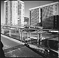 [219 Views of Boston Architecture, Commissioned by Fortune for "The Athenian Reach", Published June 1964], Walker Evans (American, St. Louis, Missouri 1903–1975 New Haven, Connecticut), Film negative