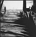 [219 Views of Boston Architecture, Commissioned by Fortune for "The Athenian Reach", Published June 1964], Walker Evans (American, St. Louis, Missouri 1903–1975 New Haven, Connecticut), Film negative