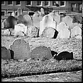 [219 Views of Boston Architecture, Commissioned by Fortune for "The Athenian Reach", Published June 1964], Walker Evans (American, St. Louis, Missouri 1903–1975 New Haven, Connecticut), Film negative