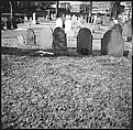 [219 Views of Boston Architecture, Commissioned by Fortune for "The Athenian Reach", Published June 1964], Walker Evans (American, St. Louis, Missouri 1903–1975 New Haven, Connecticut), Film negative