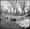 [219 Views of Boston Architecture, Commissioned by Fortune for "The Athenian Reach", Published June 1964], Walker Evans (American, St. Louis, Missouri 1903–1975 New Haven, Connecticut), Film negative